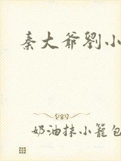 秦大爷刘小静