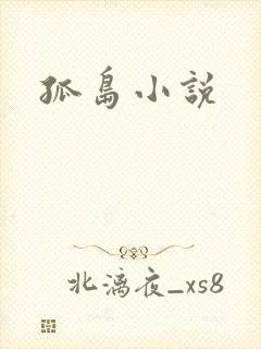 孤岛小说封面