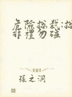危险总裁:总裁非礼勿碰封面