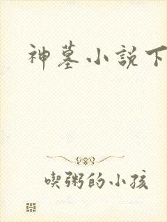 神墓小说下载