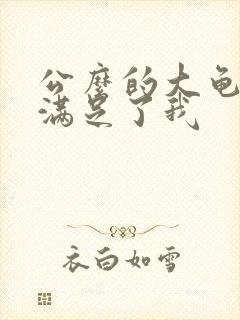 公么的大龟强大满足了我