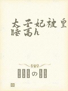 太子妃被皇上强睡高h