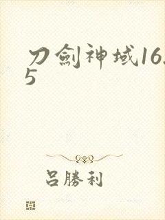 刀剑神域16.5