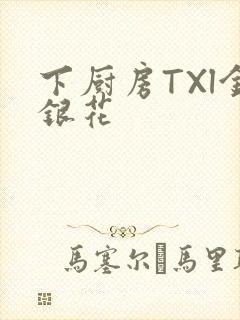 下厨房TXl金银花
