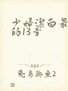 少妇洁白最刺激的13章
