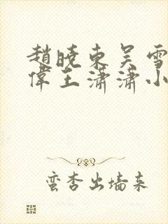 赵晓东吴雪晴郑伟王潇潇小说名字封面