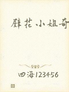 壁花小姐奇遇记封面