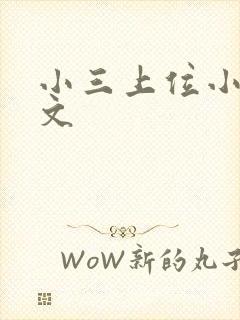 小三上位小说全文封面