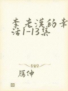 李老汉的幸福生活1-13集