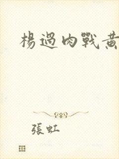 杨过肉战黄蓉
