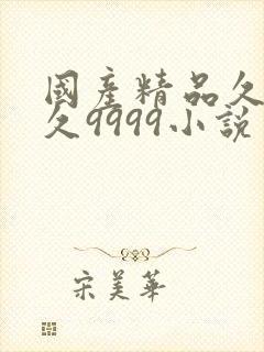 国产精品久久久久9999小说封面