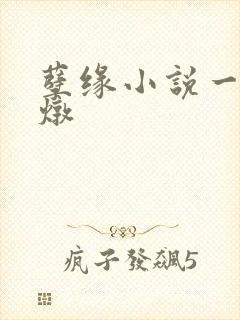 孽缘小说一家乱炖