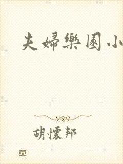 夫妇乐园小说