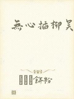 无心插柳吴悠封面