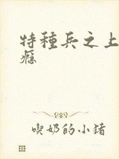 特种兵之上你成瘾封面