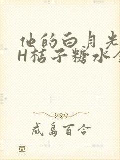 他的白月光HVH桔子糖水全文封面