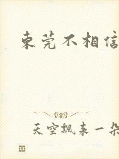 东莞不相信眼泪