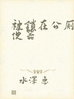 被锁在公厕当坐便器封面