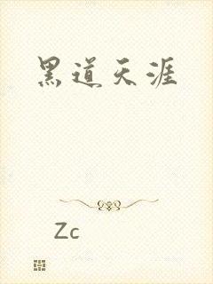 黑道天涯封面