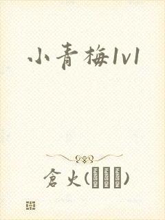 小青梅1v1