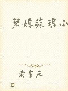 儿媳苏玥小说封面