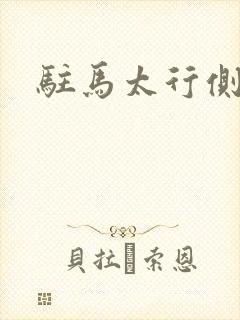 驻马太行侧