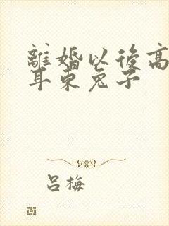 离婚以后高干 耳东兔子