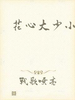 花心大少小说