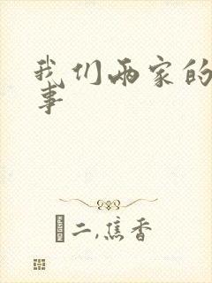 我们两家的荒唐事