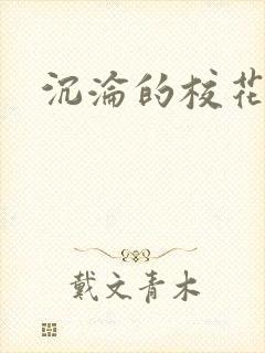 沉沦的校花