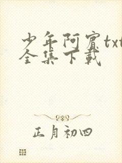 少年阿宾txt全集下载