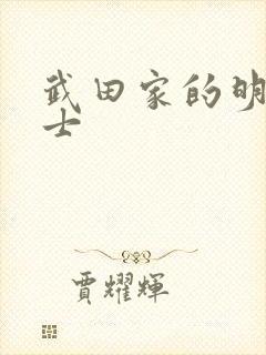 武田家的明国武士封面