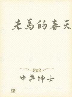 老马的春天敏静