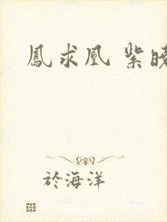 凤求凰 紫晓