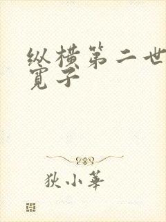 纵横第二世界 宽子
