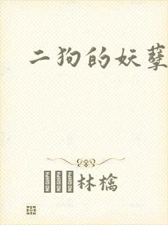 二狗的妖孽人生