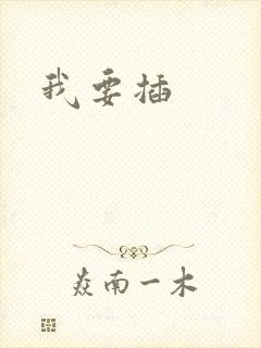 我要插