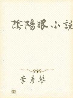 阴阳眼小说封面