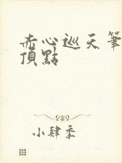 赤心巡天笔趣阁顶点