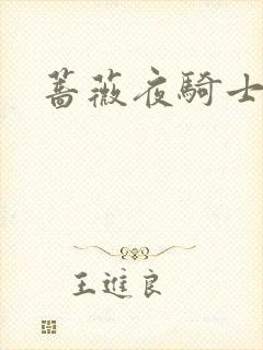 蔷薇夜骑士