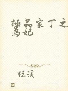 极品家丁之册母为妃