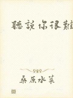 听说你很难追