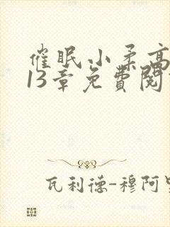 催眠小柔高达第13章免费阅读
