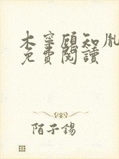 木宁顾知胤小说免费阅读