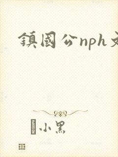 镇国公nph文封面