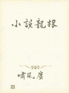 小说龙根