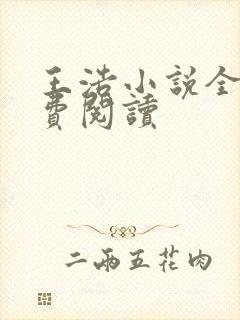 王浩小说全文免费阅读