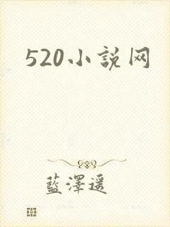 520小说网封面