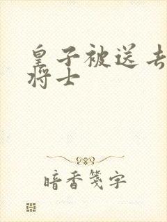 皇子被送去犒劳将士