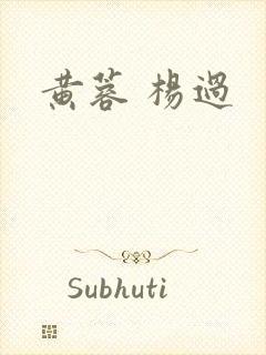 黄蓉 杨过